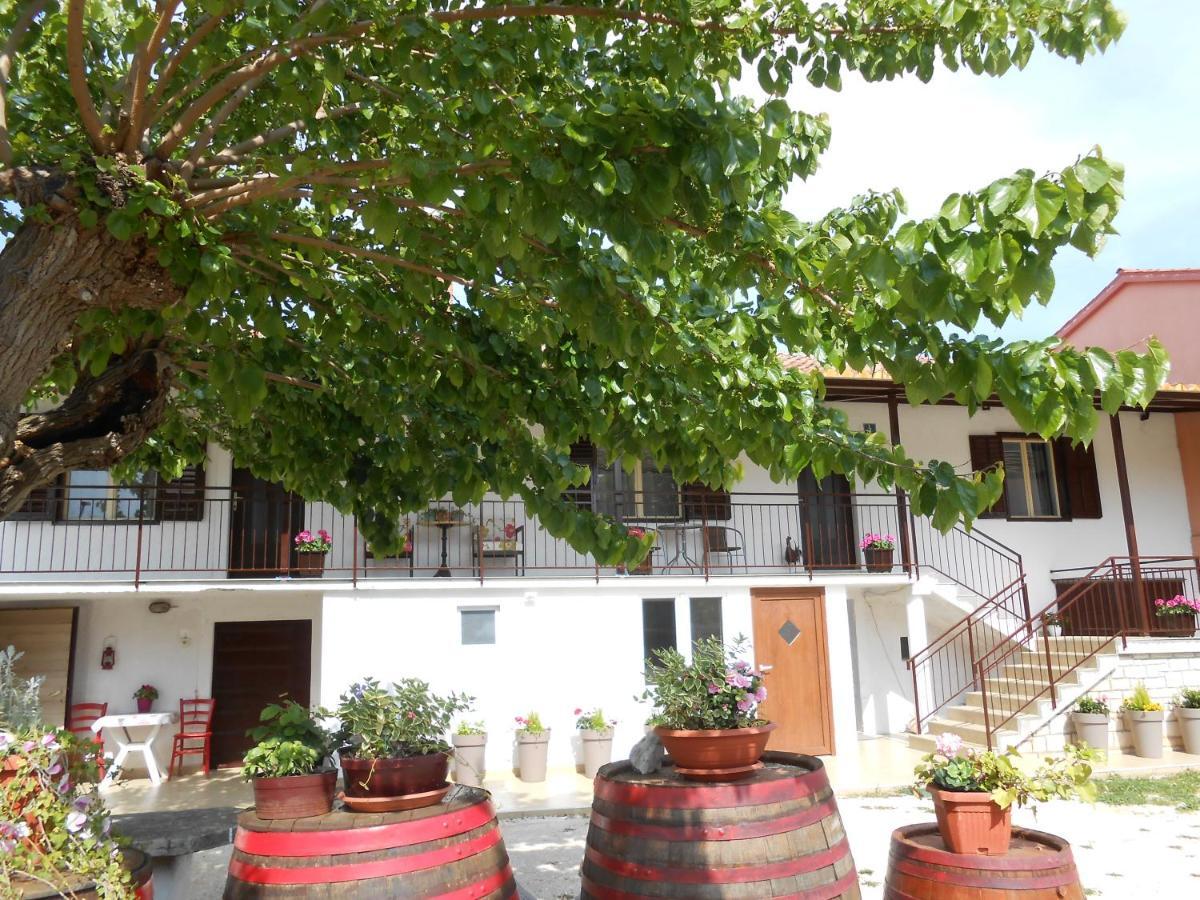 The Golden Well Apartment Rovinj Exterior photo